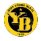 YOUNG BOYS