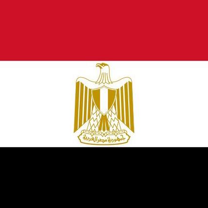 Hema ElAchry