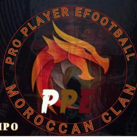 PRO PLAYER EFOOTBALL
