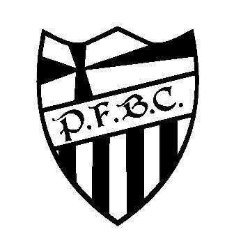 Palmeiras Football Club