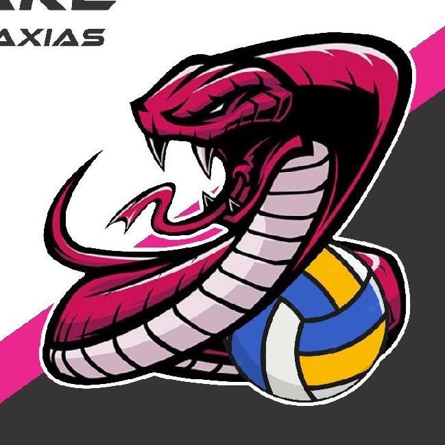 SNAKE VOLEI