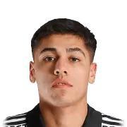 Navarro