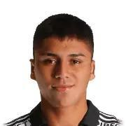 D. Pizarro