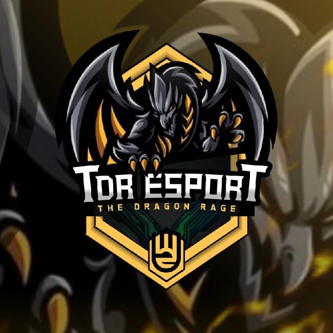 TDR E-sport