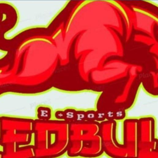 Redbullteam