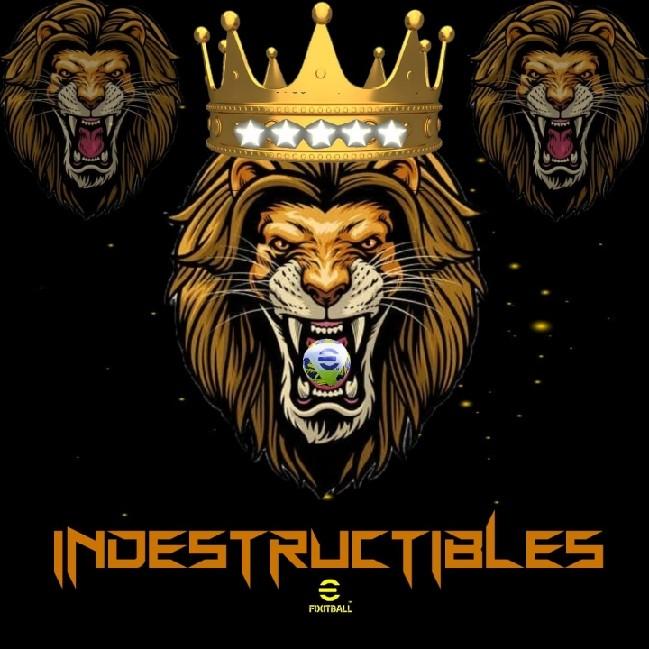 ™INDESTRUCTIBLES