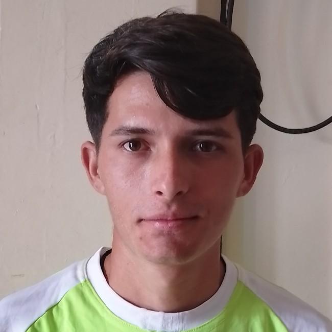 Delfín Aret Paz Paz