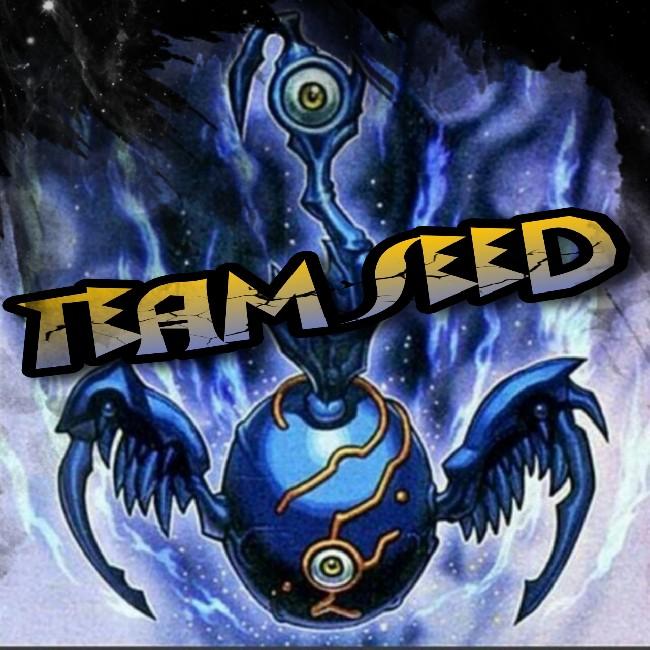 TEAM SEED