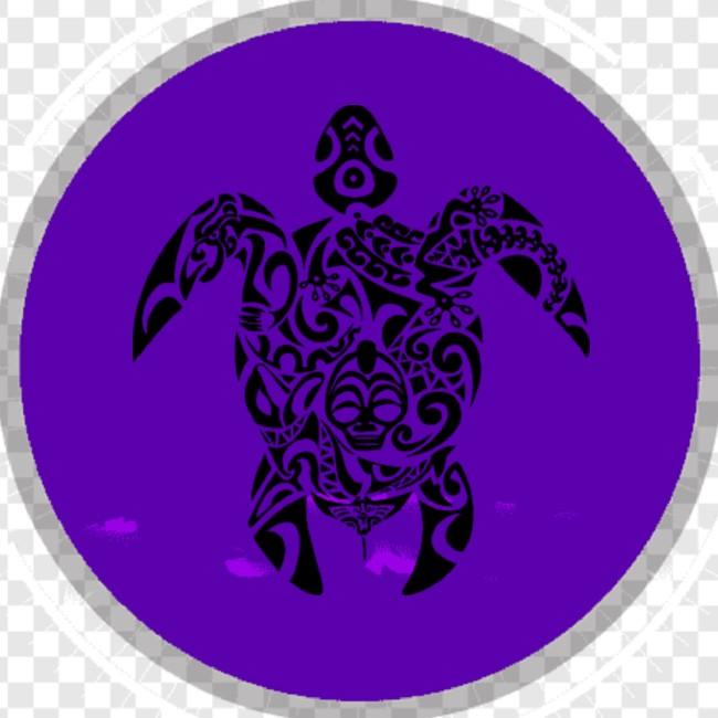 Tortugas