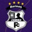 🇻🇪Zamora