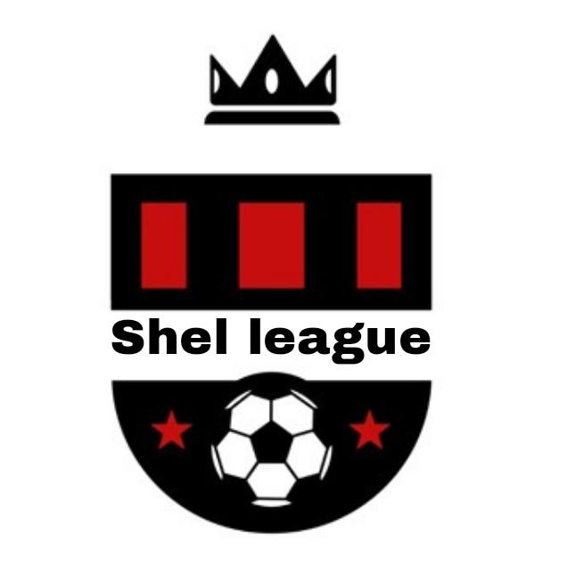 Liga Shell