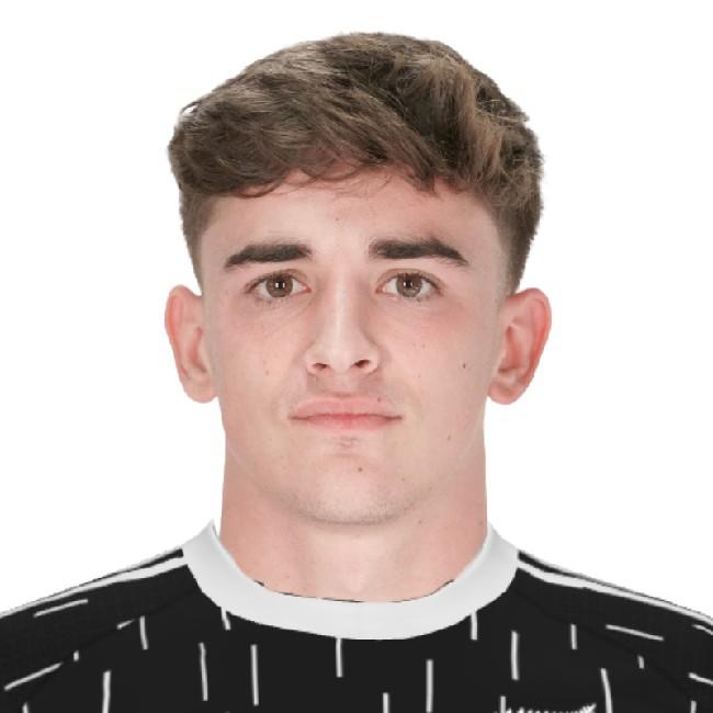 Ширан Панинев