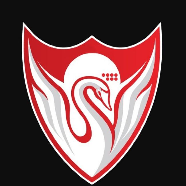 Cisnes