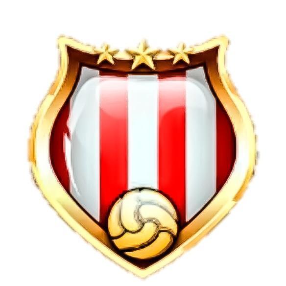 Stoke City