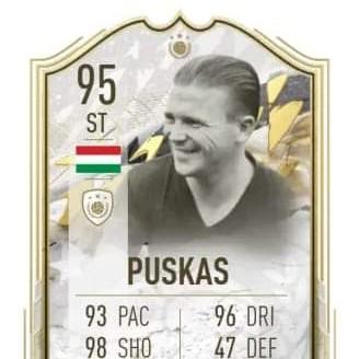 PUSKAS TEAM - Tajti Dávid