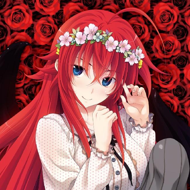 Rias Gremory (High School DxD)