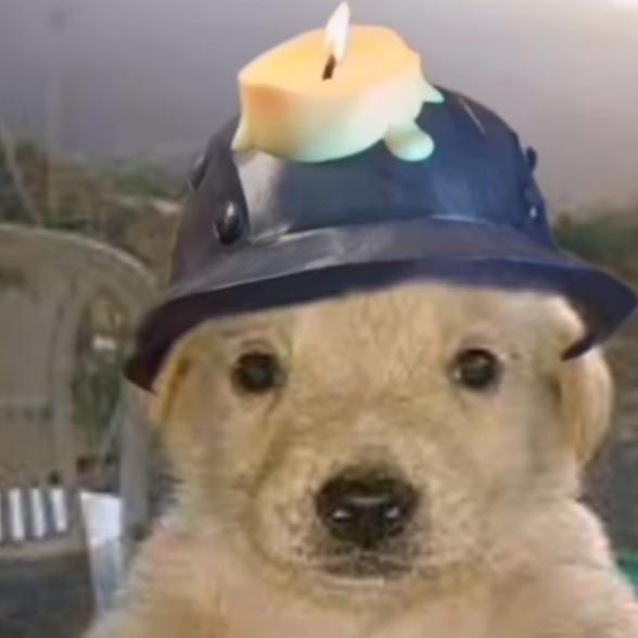 The DogerYT