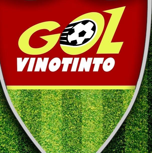 ACADEMIA GOL VINOTINTO