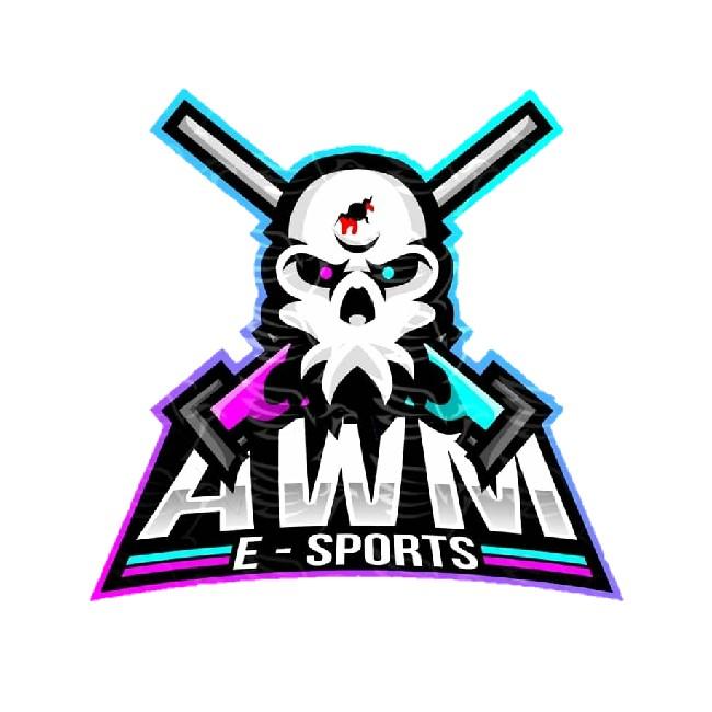 AWM ESPORTS/ AWM