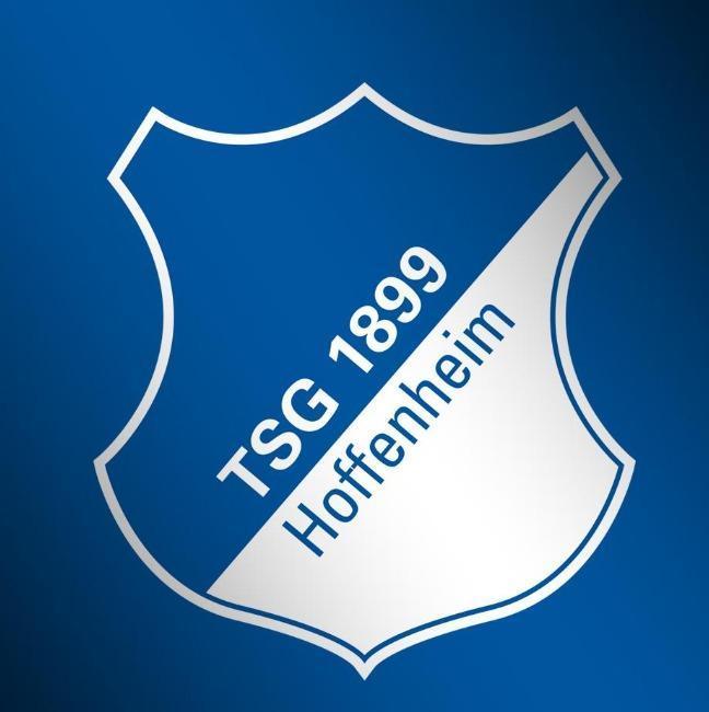 Hoffenheim 🇩🇪