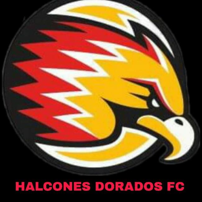Halcones dorados fc
