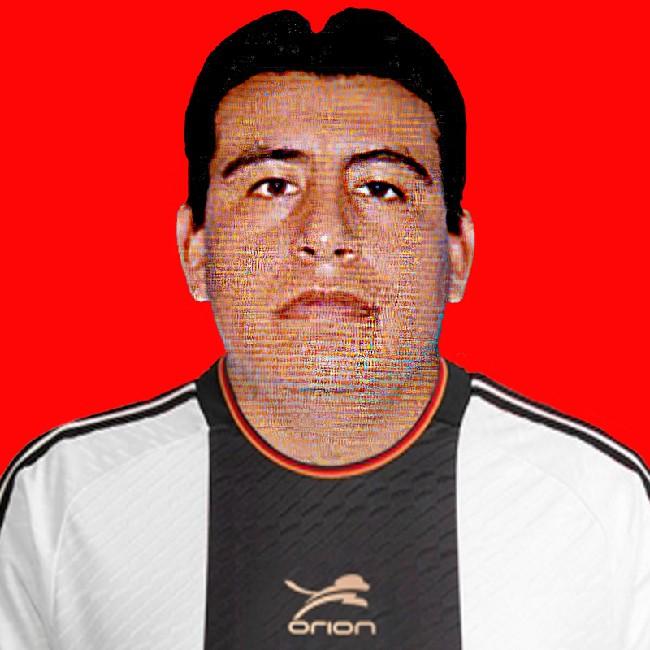 Luis Fernando Alegré Quispe