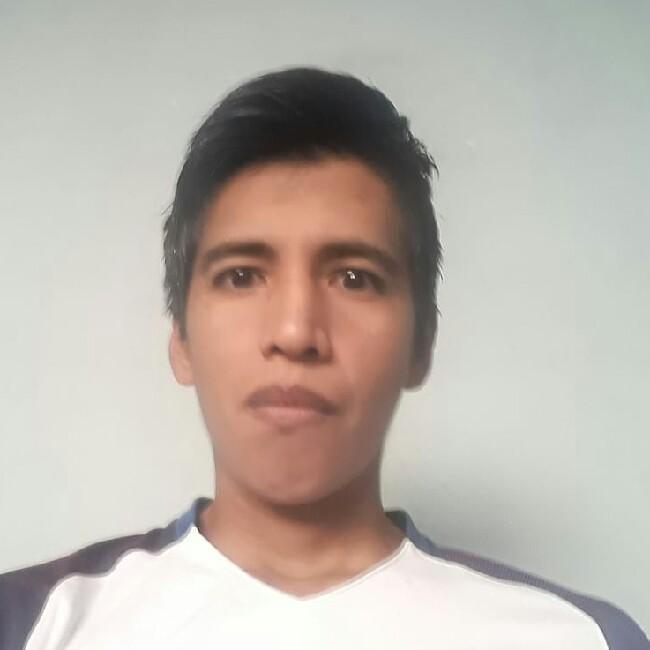 Luis Alberto Iriarte Mamani