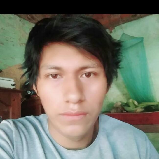 Jhonny Mamani Alarcon