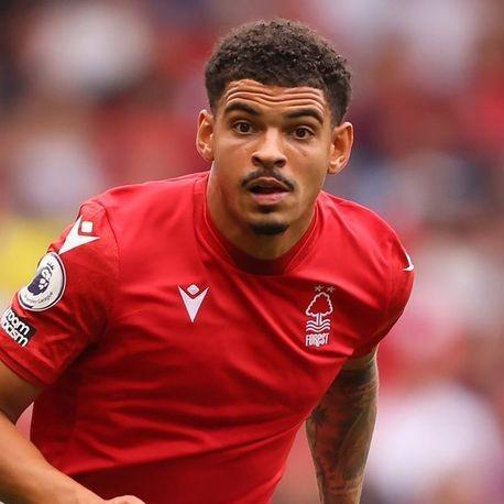 Gibbs White