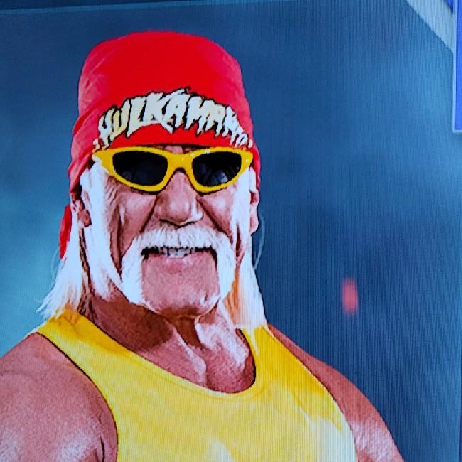 Hulk Hogan