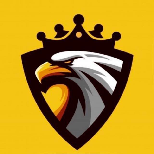 Halcones