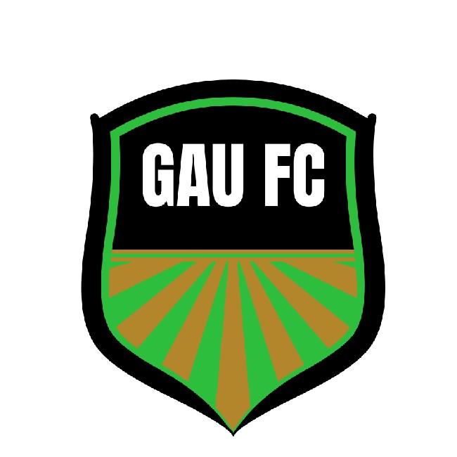 Gauchitos F.C