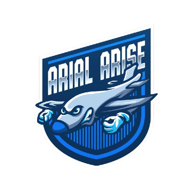 Arial Arise