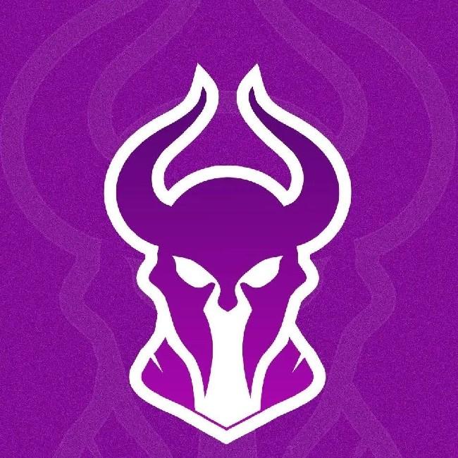 NiGHT CHAOS E-SPORT