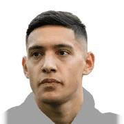 N. Molina