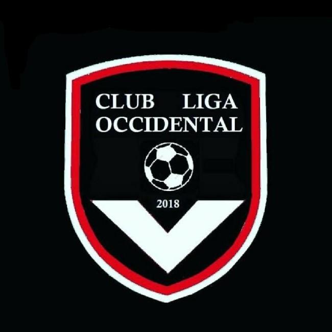 Liga Occidental Jr