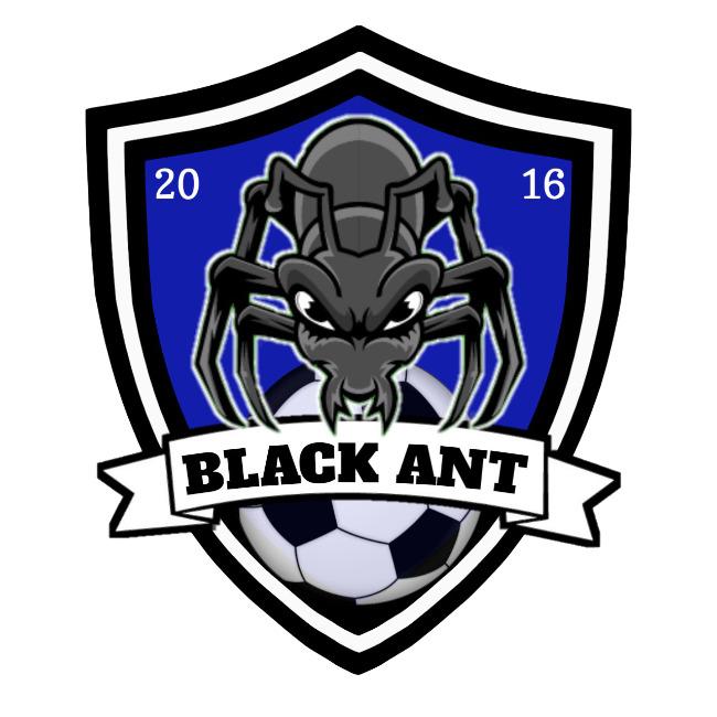 Black Ant TEFC