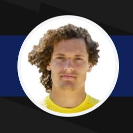 Wout Faes