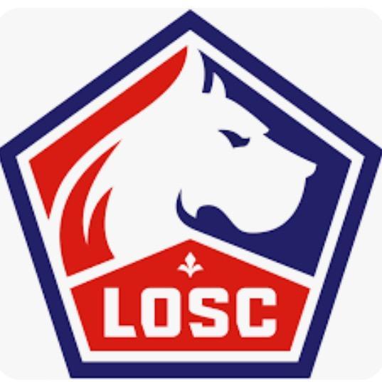 LOSC LILLE