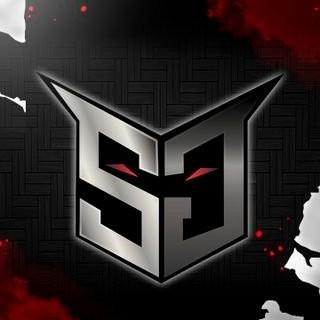 Sentinels Gaming