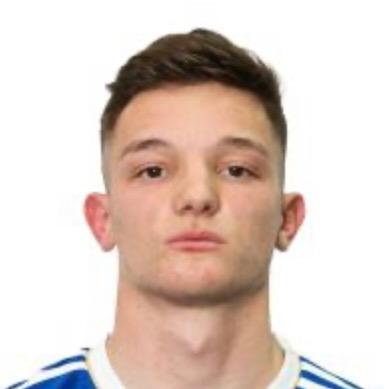 M. Perkovic