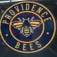 Providence Bees