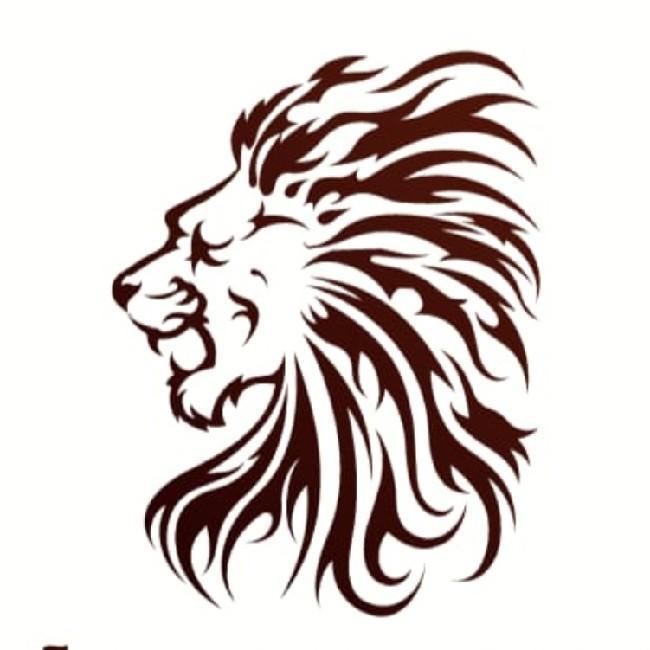 LIONS