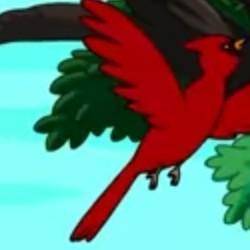 RED BIRD