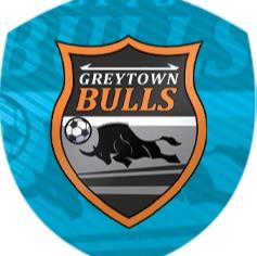 Greytown Bulls
