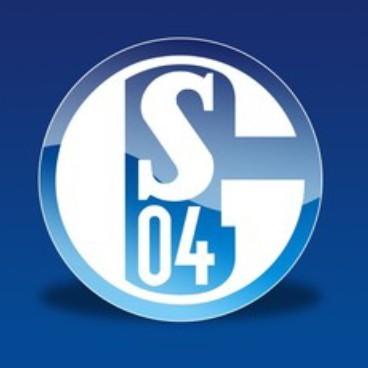 Shalke04