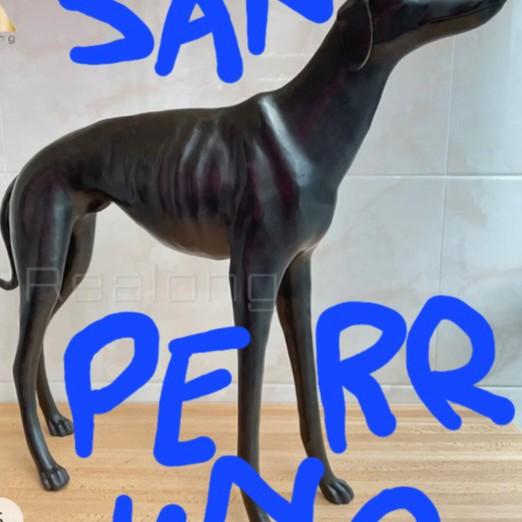 San perruno