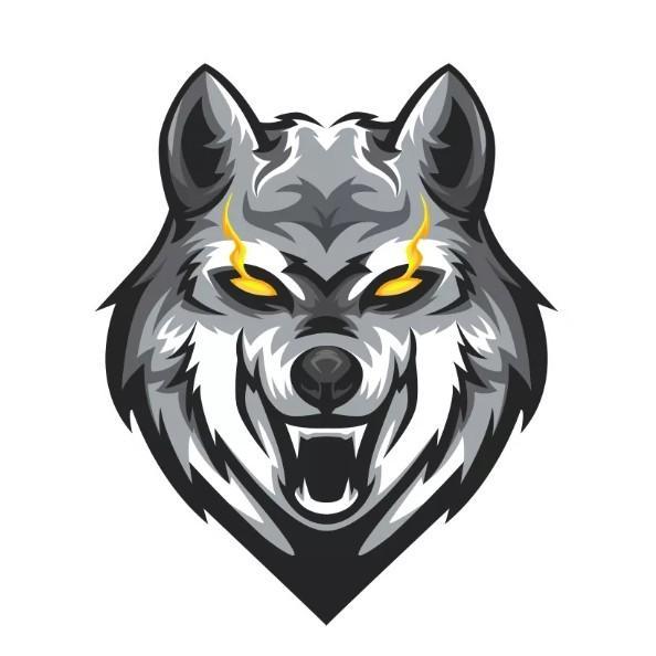 Molde Wolvers