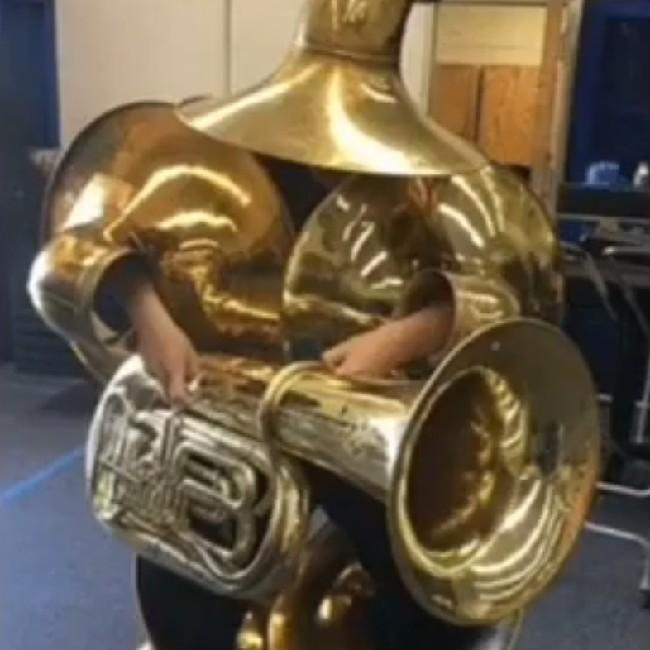 Donald Trumpeta (18)