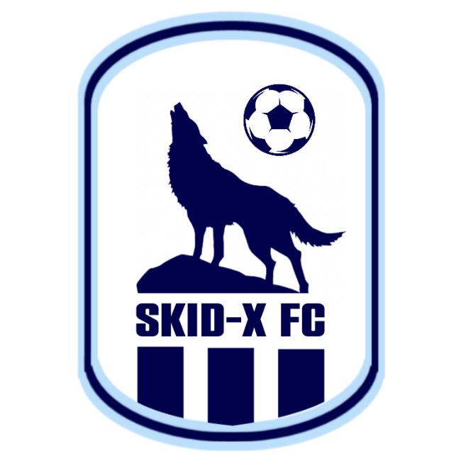 Skid-X